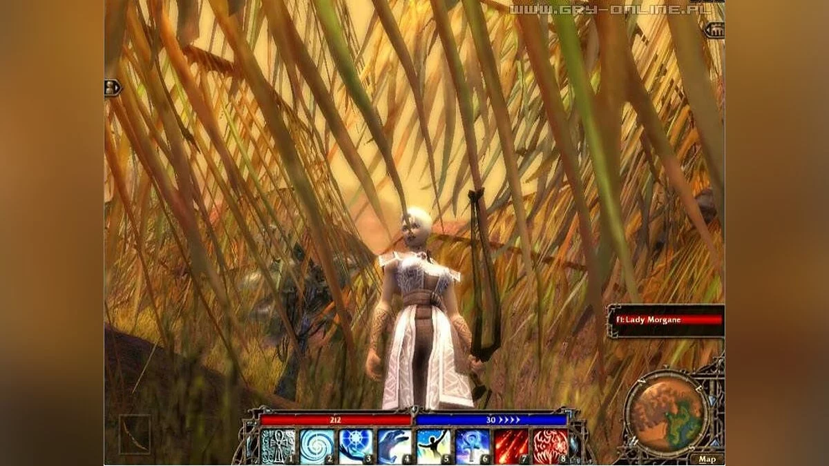 Скриншоты из Guild Wars / Картинка 127