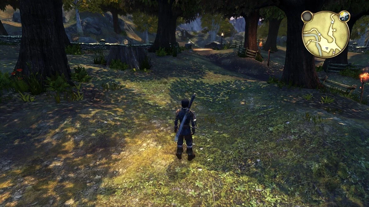 Скриншоты из Fable Anniversary / Картинка 16