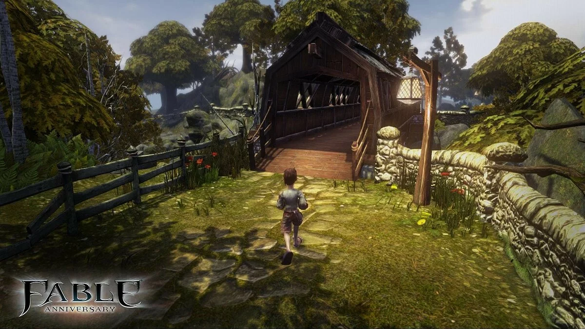 Скриншоты из Fable Anniversary / Картинка 24