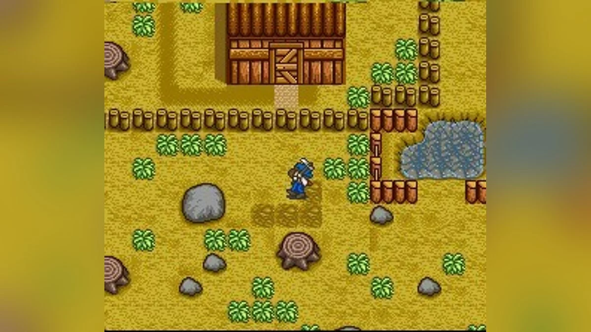 Скриншоты из Harvest Moon / Картинка 39