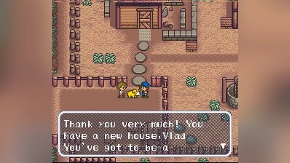 Скриншоты из Harvest Moon / Картинка 41