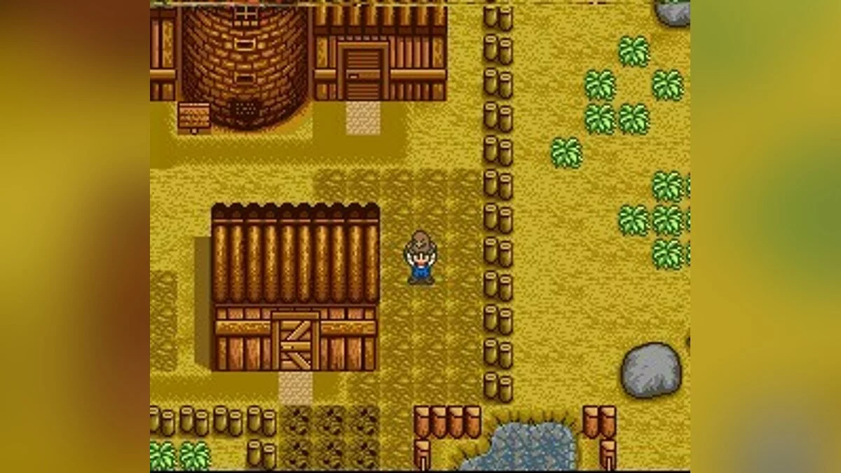 Скриншоты из Harvest Moon / Картинка 45