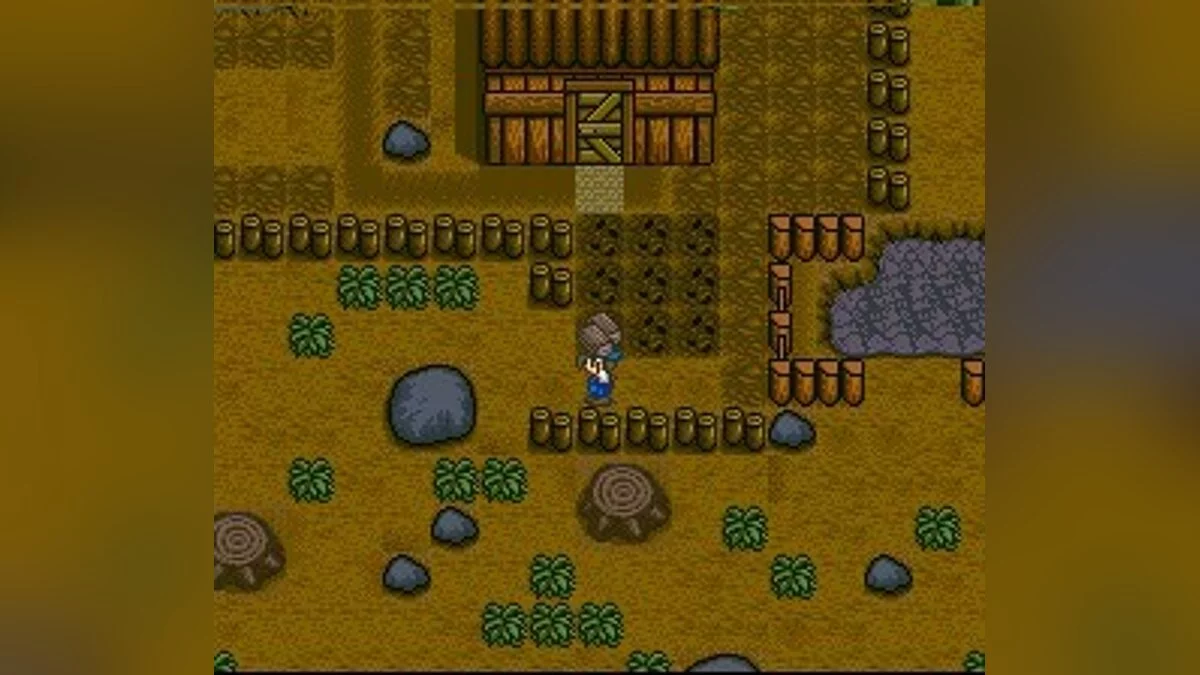 Скриншоты из Harvest Moon / Картинка 47