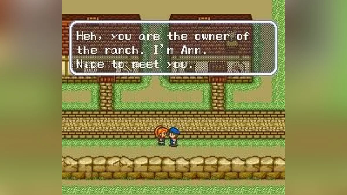 Скриншоты из Harvest Moon / Картинка 14