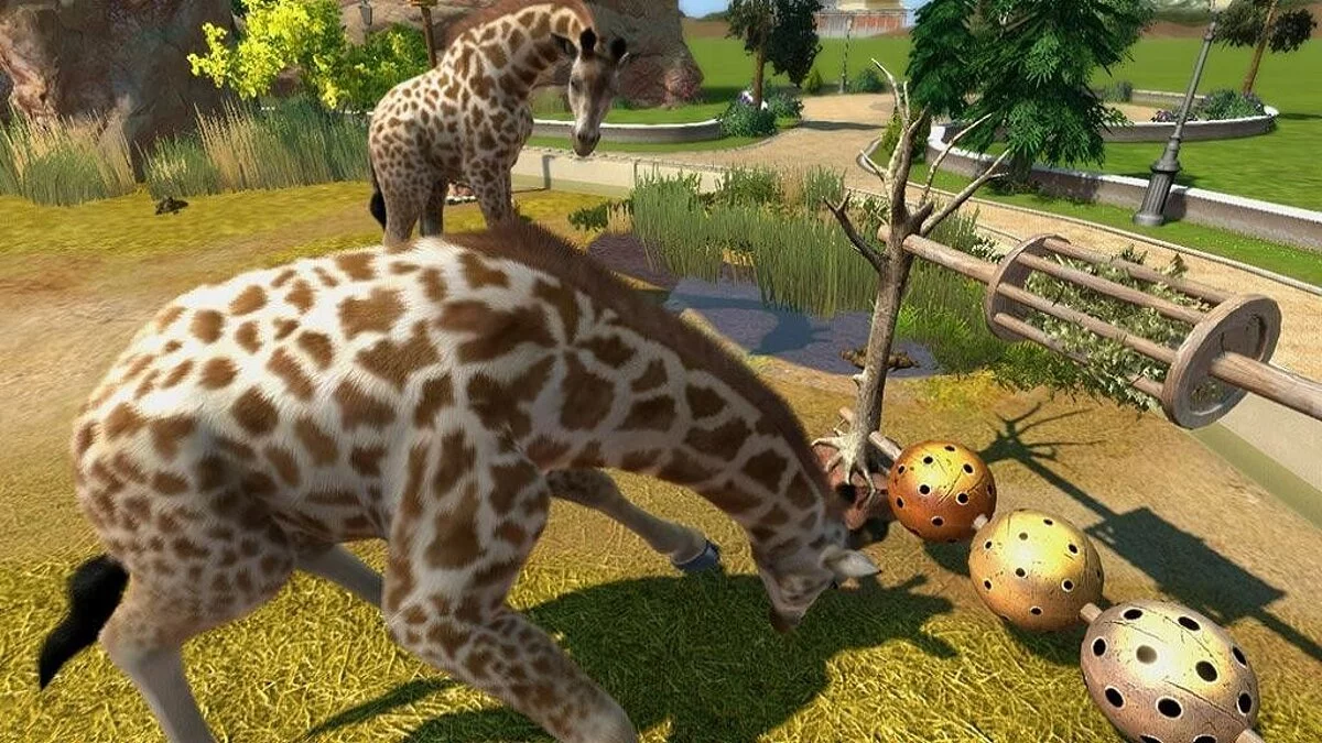 Скриншоты из Zoo Tycoon / Картинка 18
