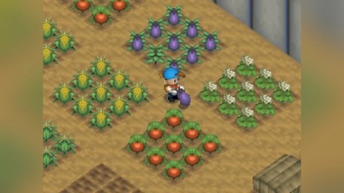 Скриншоты из Harvest Moon 64 / Картинка 39