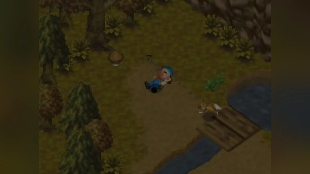 Скриншоты из Harvest Moon 64 / Картинка 40