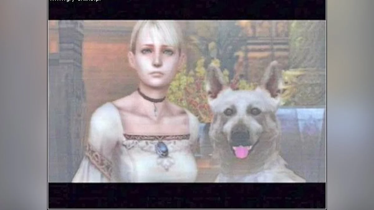 Скриншоты из Haunting Ground / Картинка 34