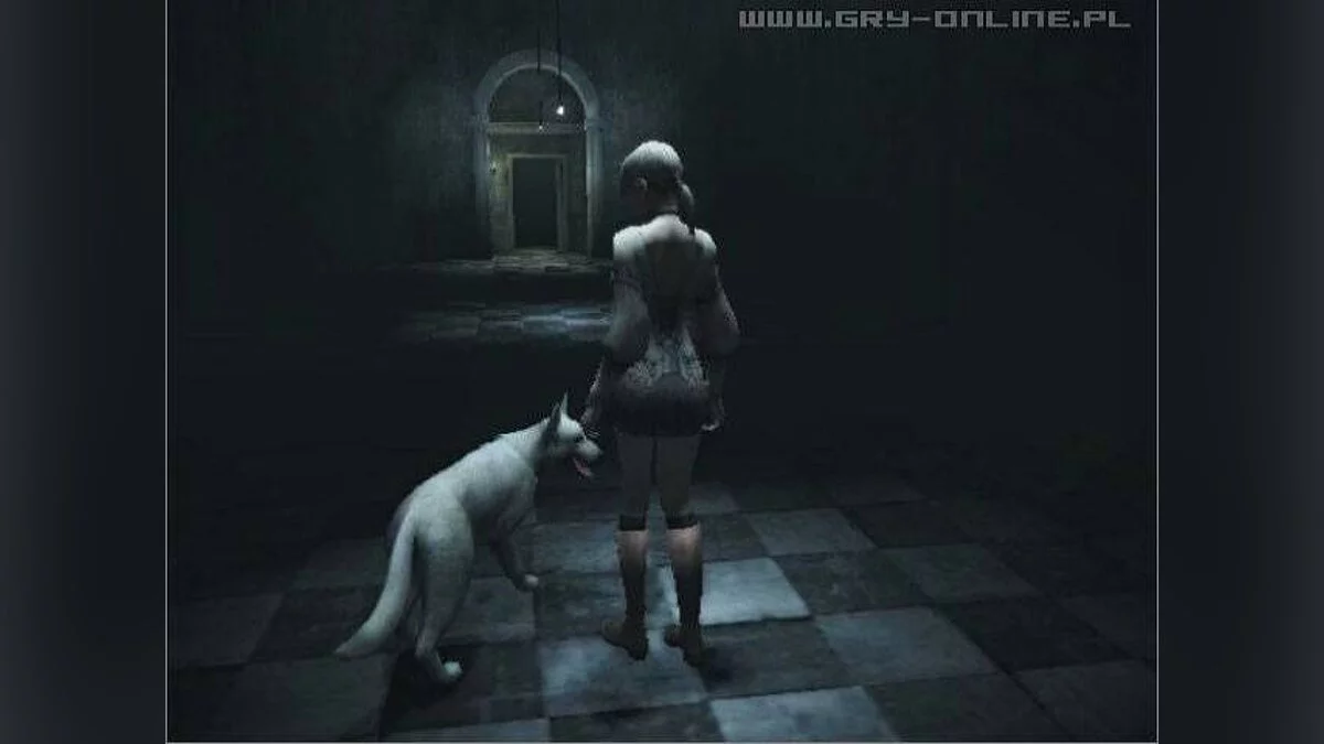 Скриншоты из Haunting Ground / Картинка 53