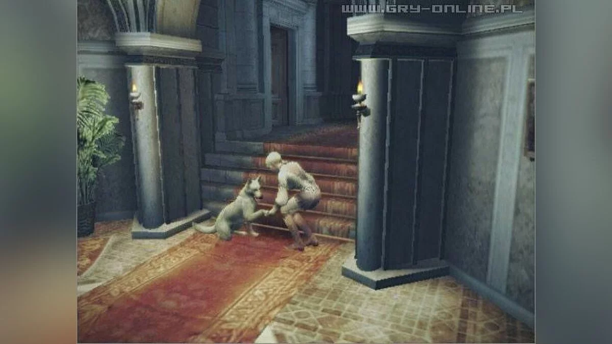 Скриншоты из Haunting Ground / Картинка 58