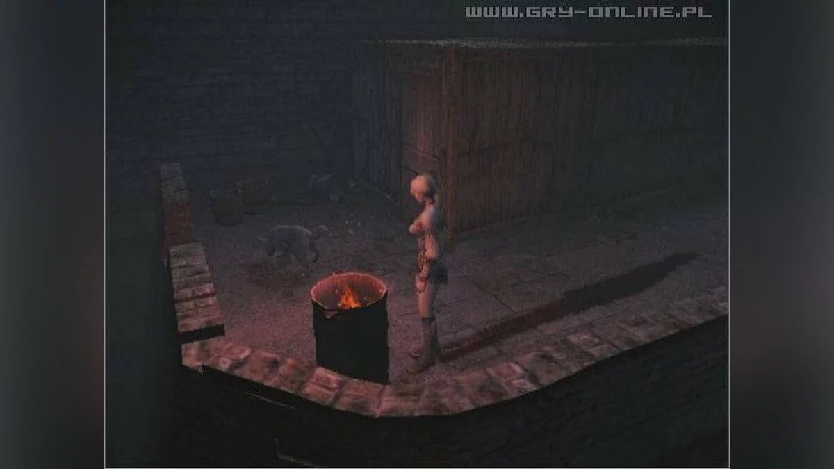 Скриншоты из Haunting Ground / Картинка 59