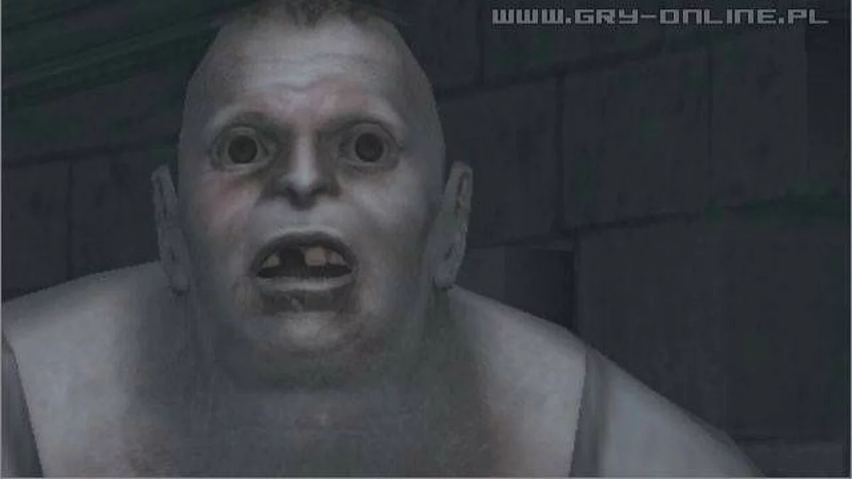 Скриншоты из Haunting Ground / Картинка 61