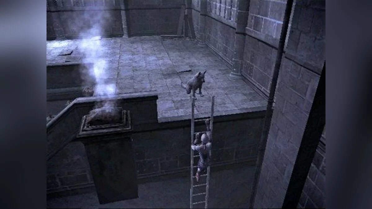 Скриншоты из Haunting Ground / Картинка 23