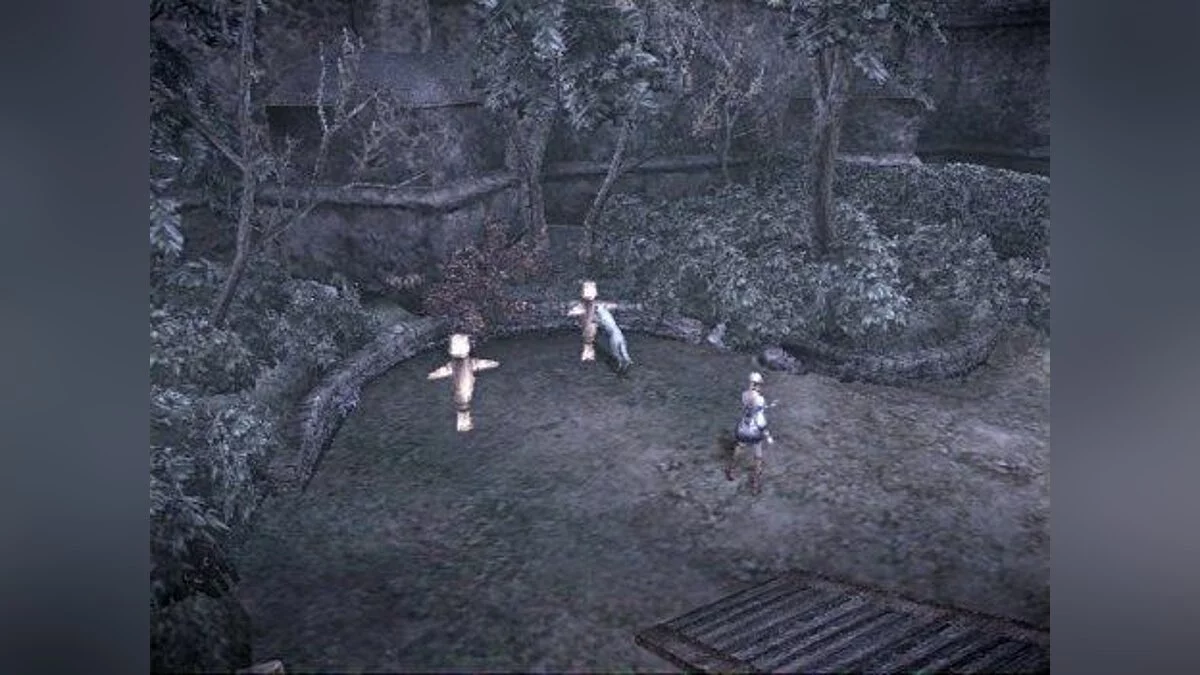 Скриншоты из Haunting Ground / Картинка 28