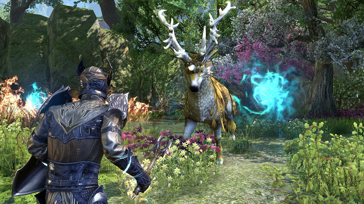 Скриншоты из Elder Scrolls Online: Summerset / Картинка 11