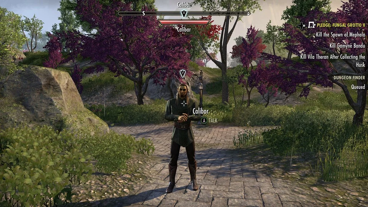 Скриншоты из Elder Scrolls Online: Summerset / Картинка 23
