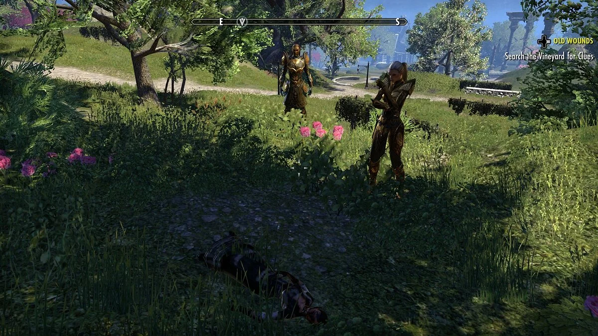 Скриншоты из Elder Scrolls Online: Summerset / Картинка 36