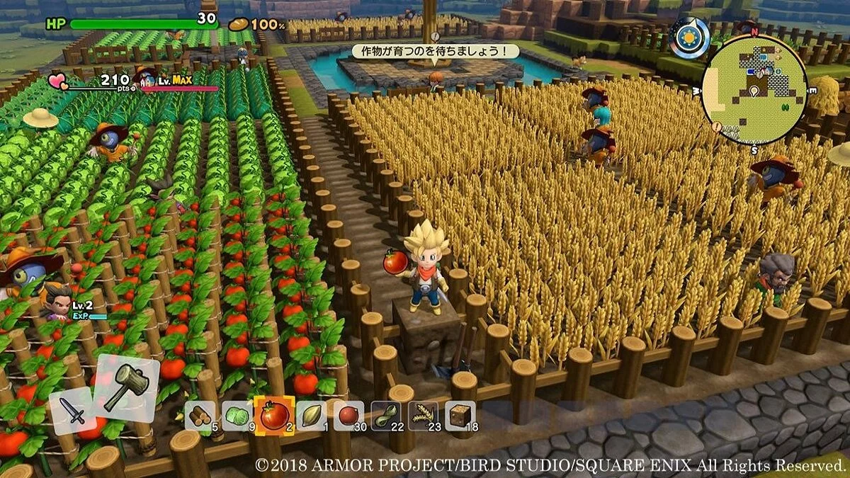 Скриншоты из Dragon Quest Builders 2 / Картинка 127