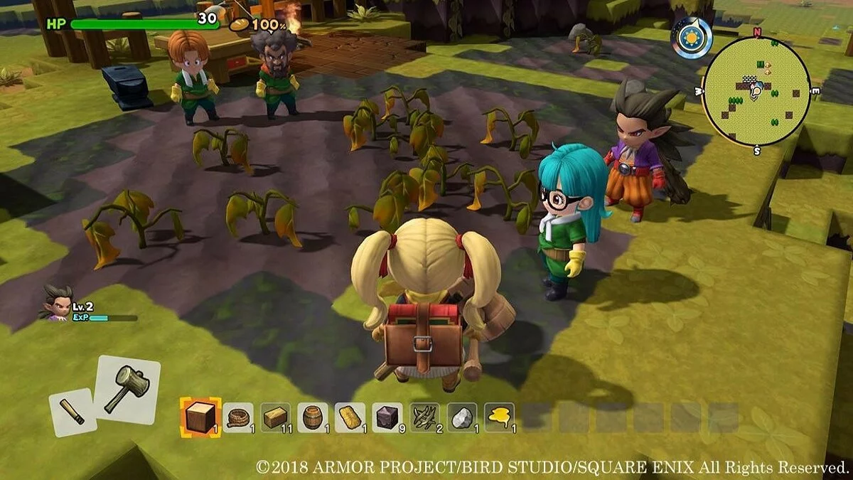 Скриншоты из Dragon Quest Builders 2 / Картинка 145