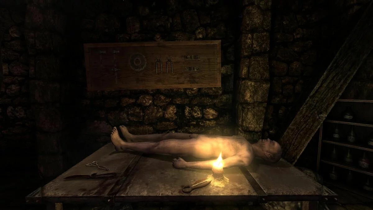 Скриншоты из Amnesia: Collection / Картинка 121