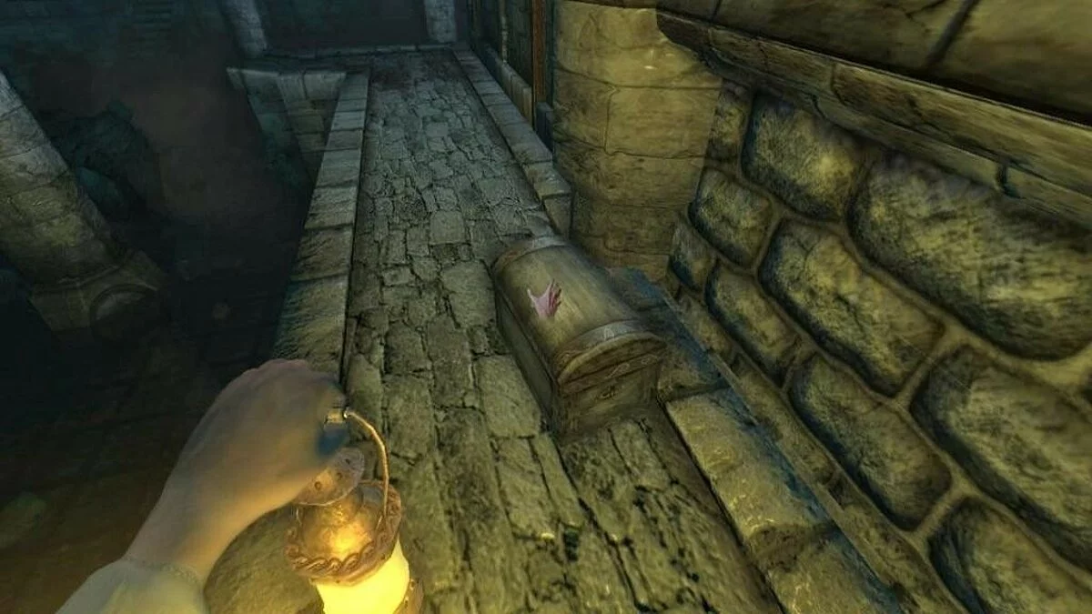 Скриншоты из Amnesia: Collection / Картинка 245