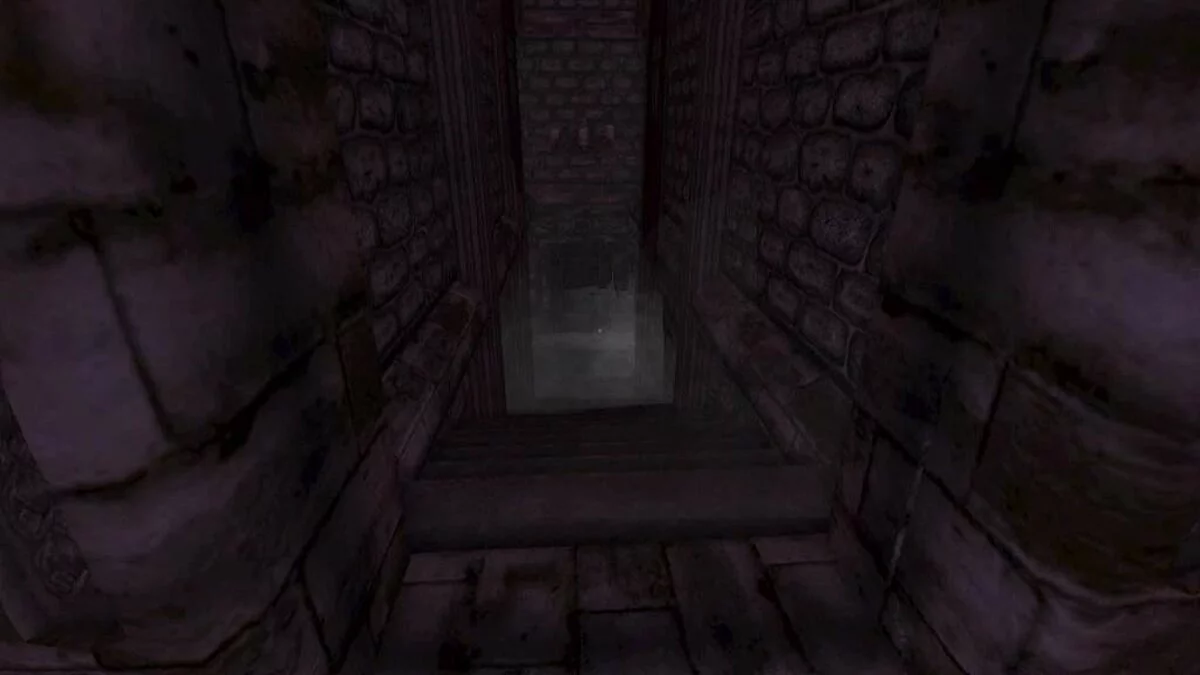 Скриншоты из Amnesia: Collection / Картинка 263
