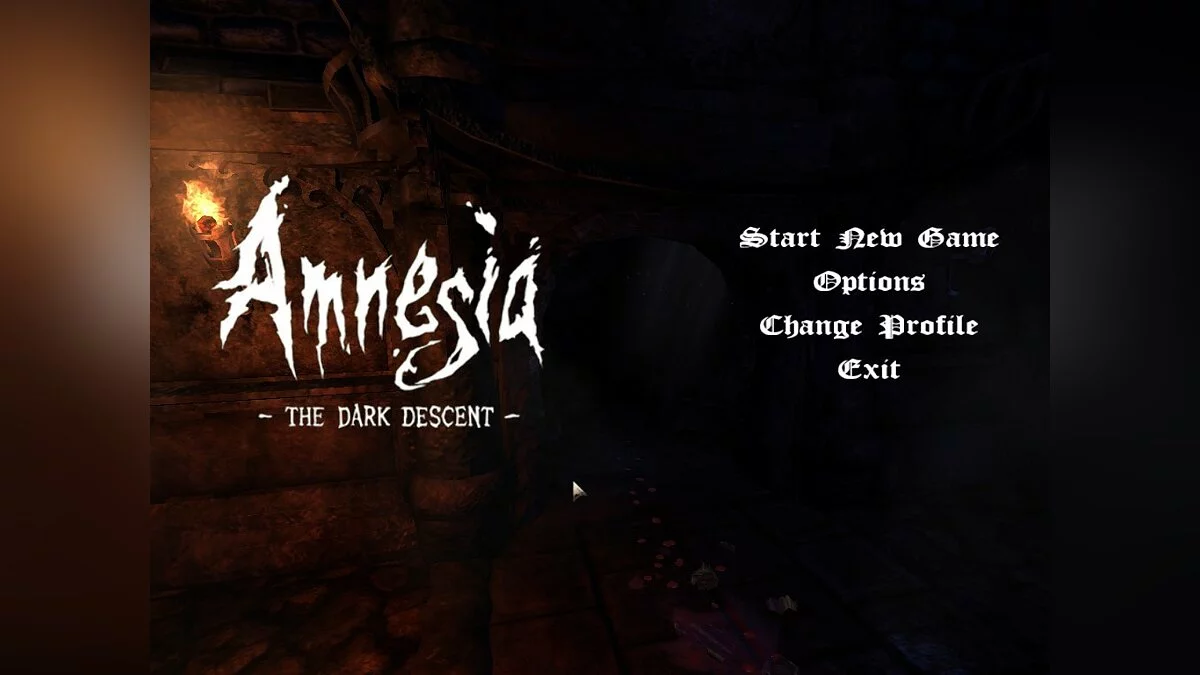 Скриншоты из Amnesia: Collection / Картинка 276
