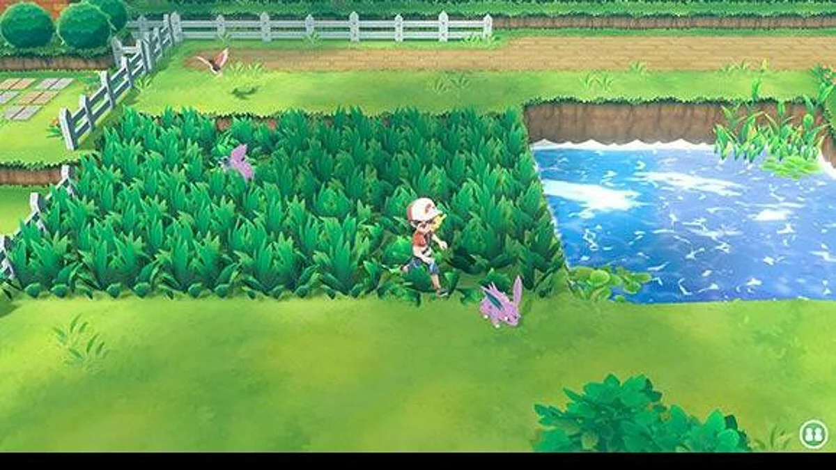 Скриншоты из Pokemon: Let's Go, Pikachu! / Картинка 17