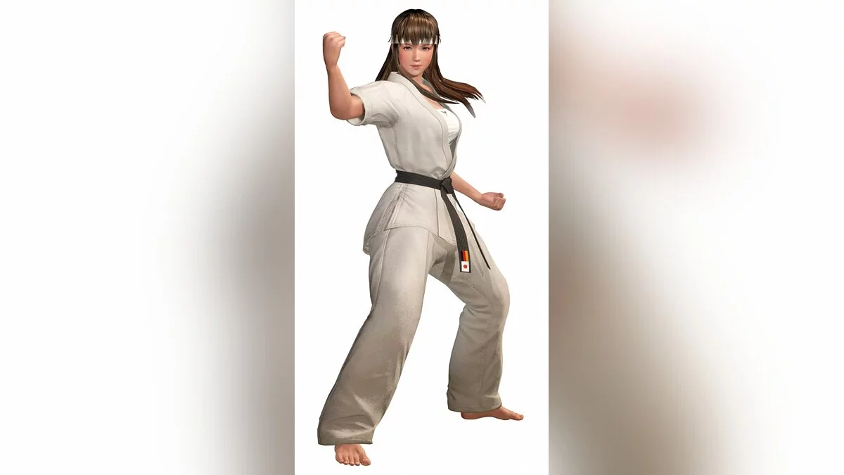 Арт из Dead or Alive 6 / Картинка 21