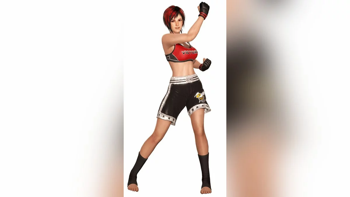 Арт из Dead or Alive 6 / Картинка 30