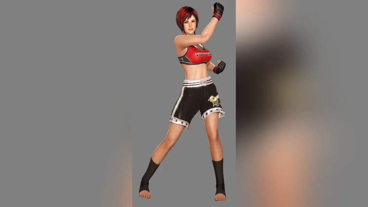 Арт из Dead or Alive 6 / Картинка 11