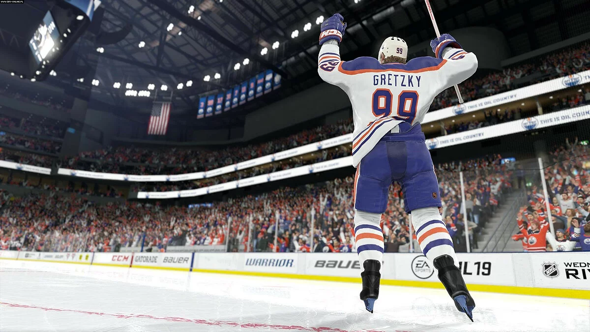 Скриншоты из NHL 19 / Картинка 3