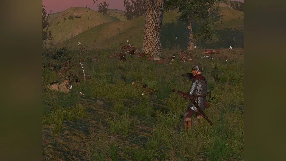 Скриншоты из Mount & Blade / Картинка 53