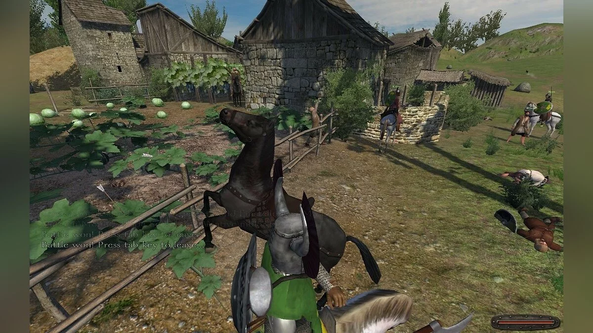 Скриншоты из Mount & Blade / Картинка 113