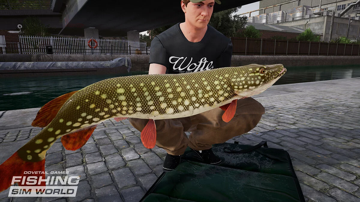 Скриншоты из Fishing Sim World: Pro Tour / Картинка 14