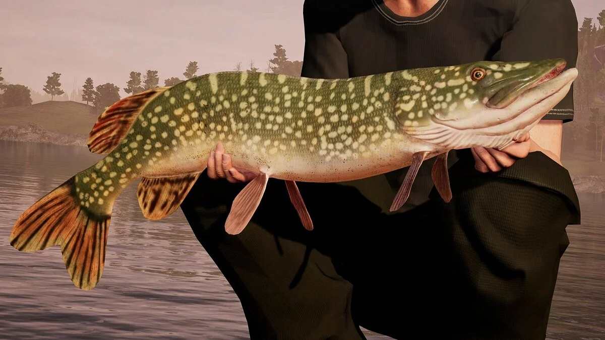 Скриншоты из Fishing Sim World: Pro Tour / Картинка 28