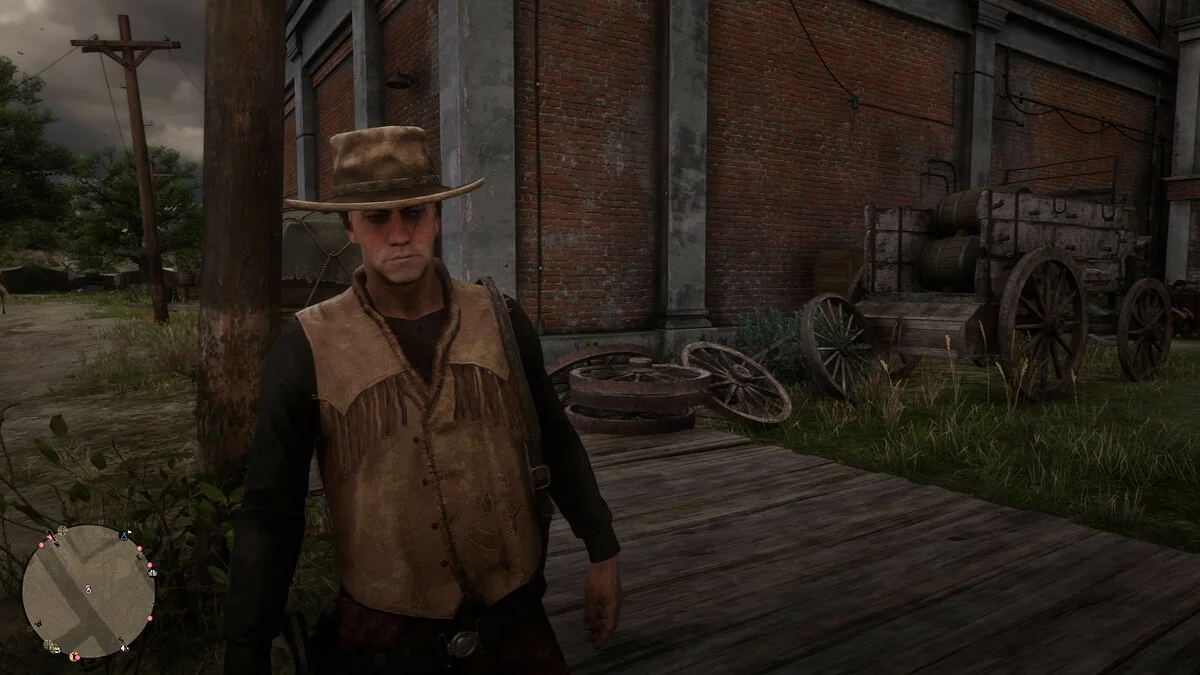 Скриншоты из Red Dead Online / Картинка 16