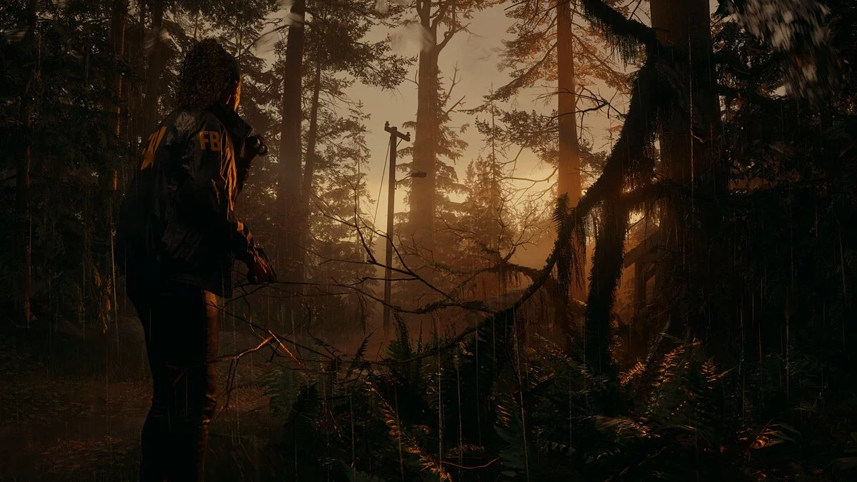 Скриншоты из Alan Wake 2 / Картинка 11