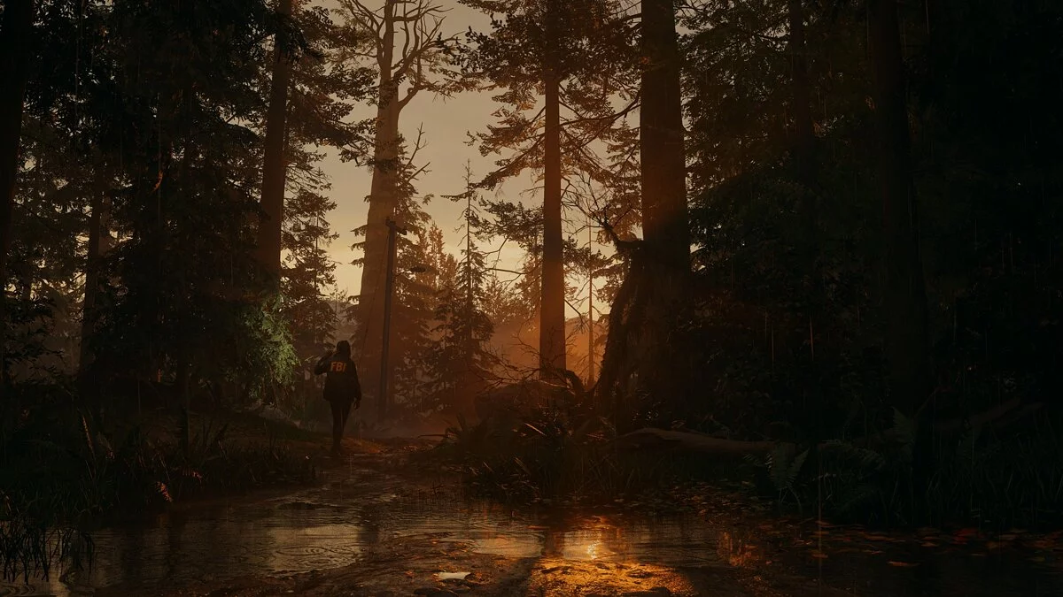 Скриншоты из Alan Wake 2 / Картинка 10