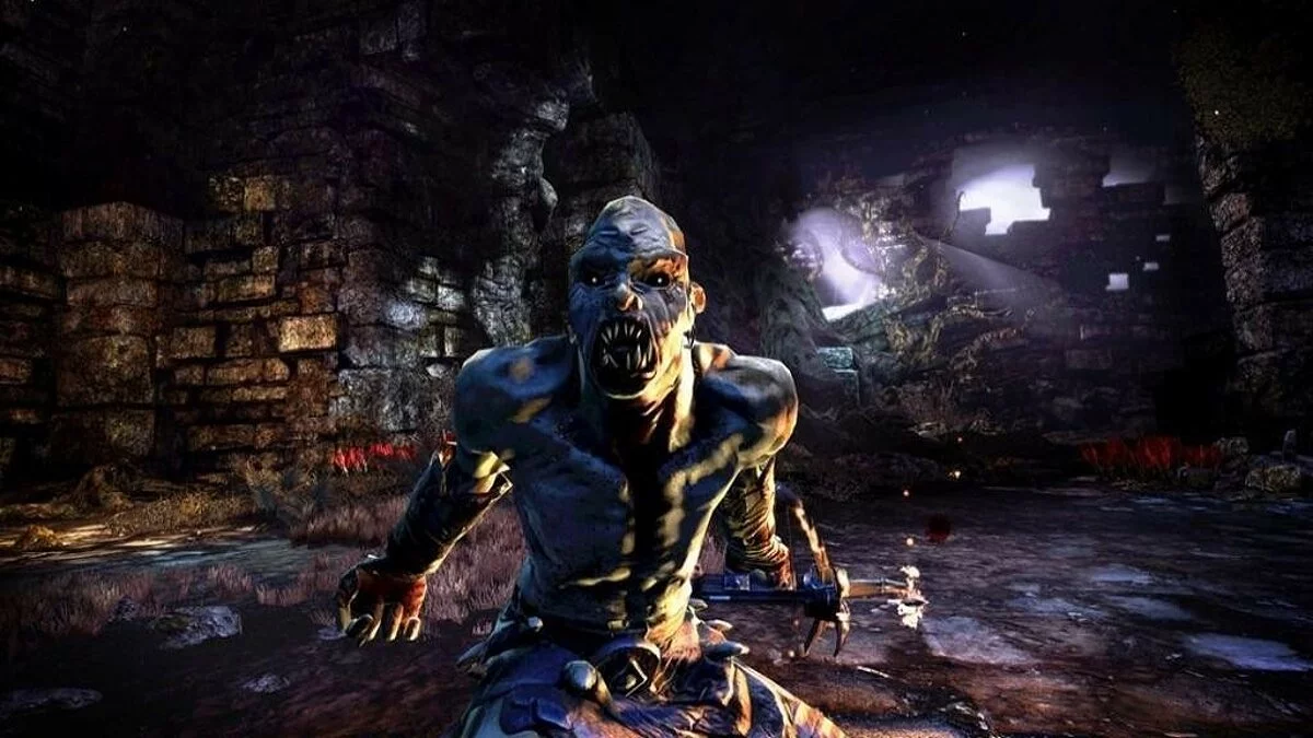 Скриншоты из Hunted: The Demon's Forge / Картинка 26