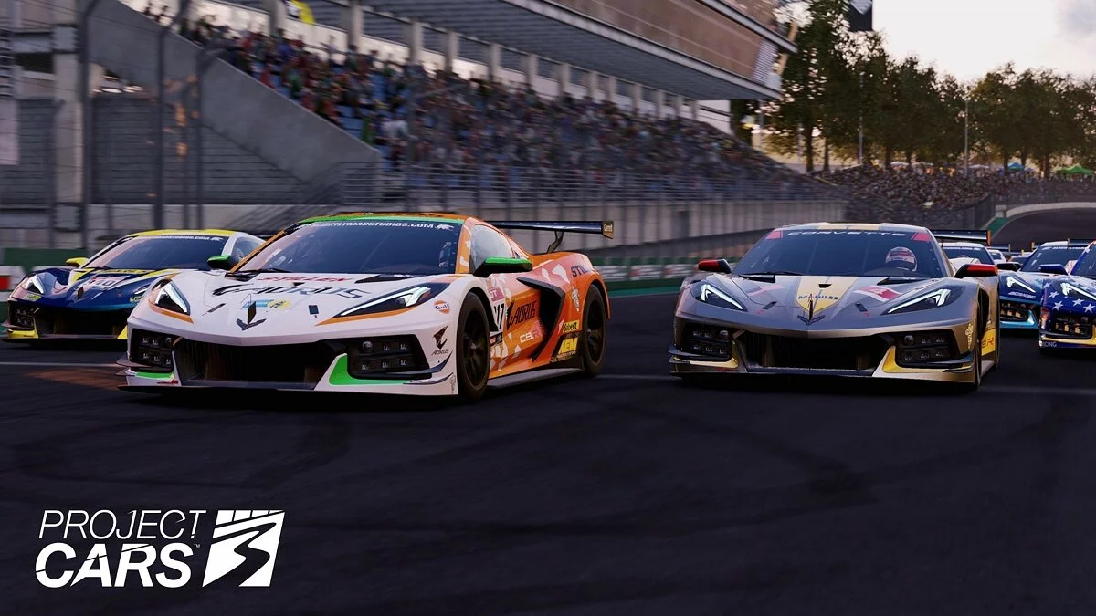 Скриншоты из Project CARS 3 / Картинка 16