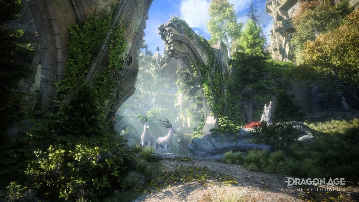 Скриншоты из Dragon Age: The Veilguard / Картинка 22