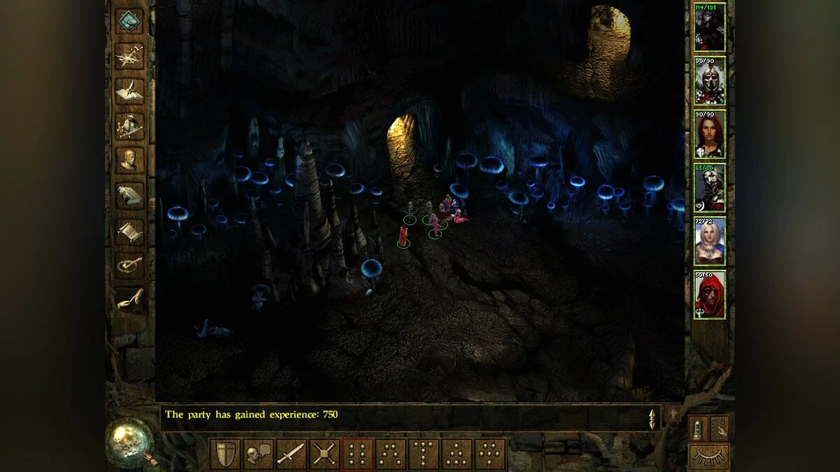 Скриншоты из Icewind Dale / Картинка 23
