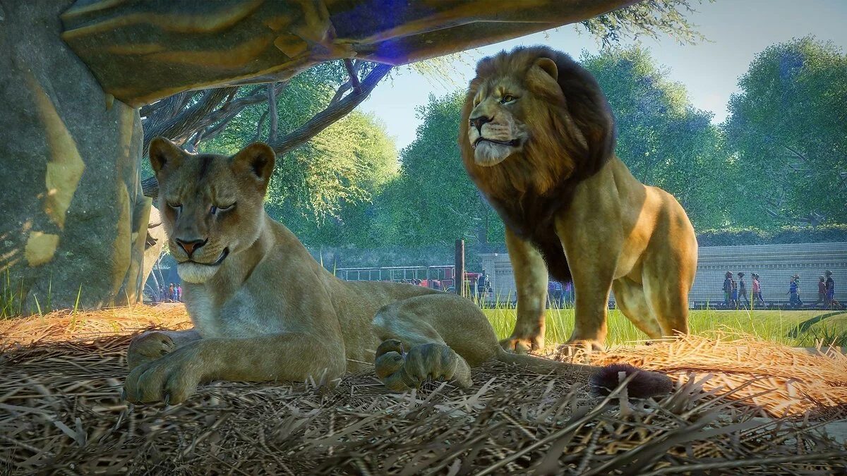 Скриншоты из Planet Zoo / Картинка 1