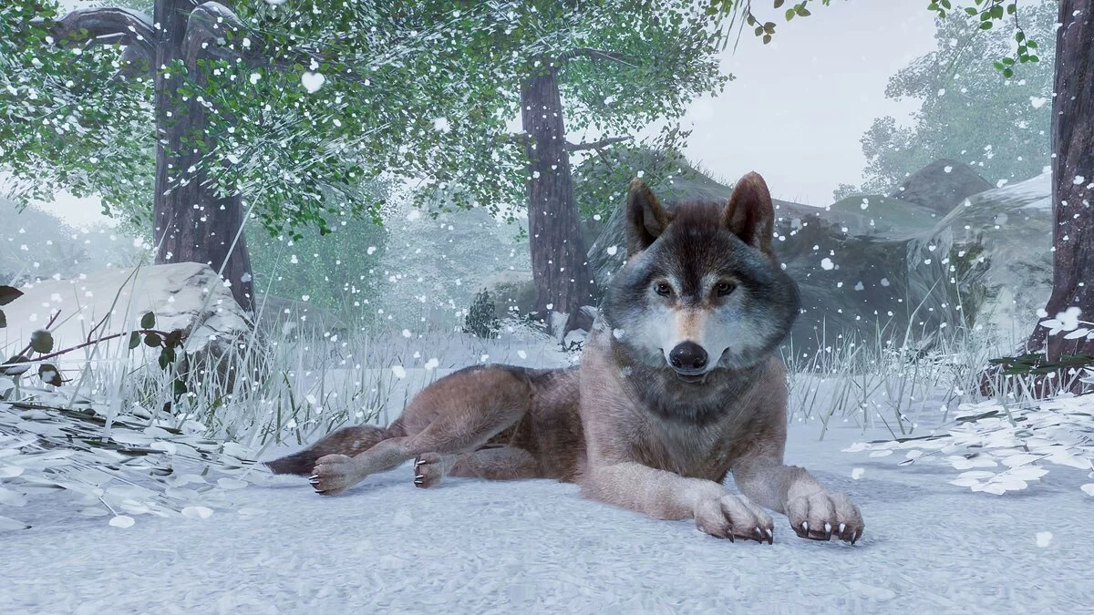 Скриншоты из Planet Zoo / Картинка 4