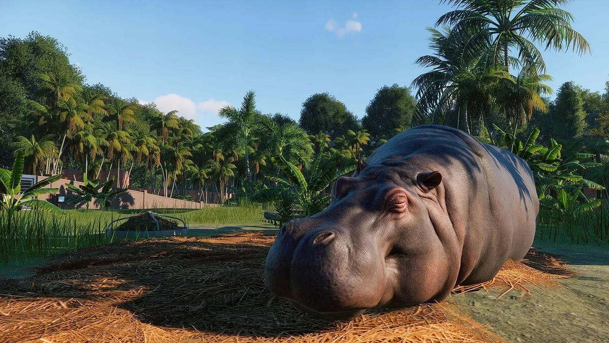 Скриншоты из Planet Zoo / Картинка 8