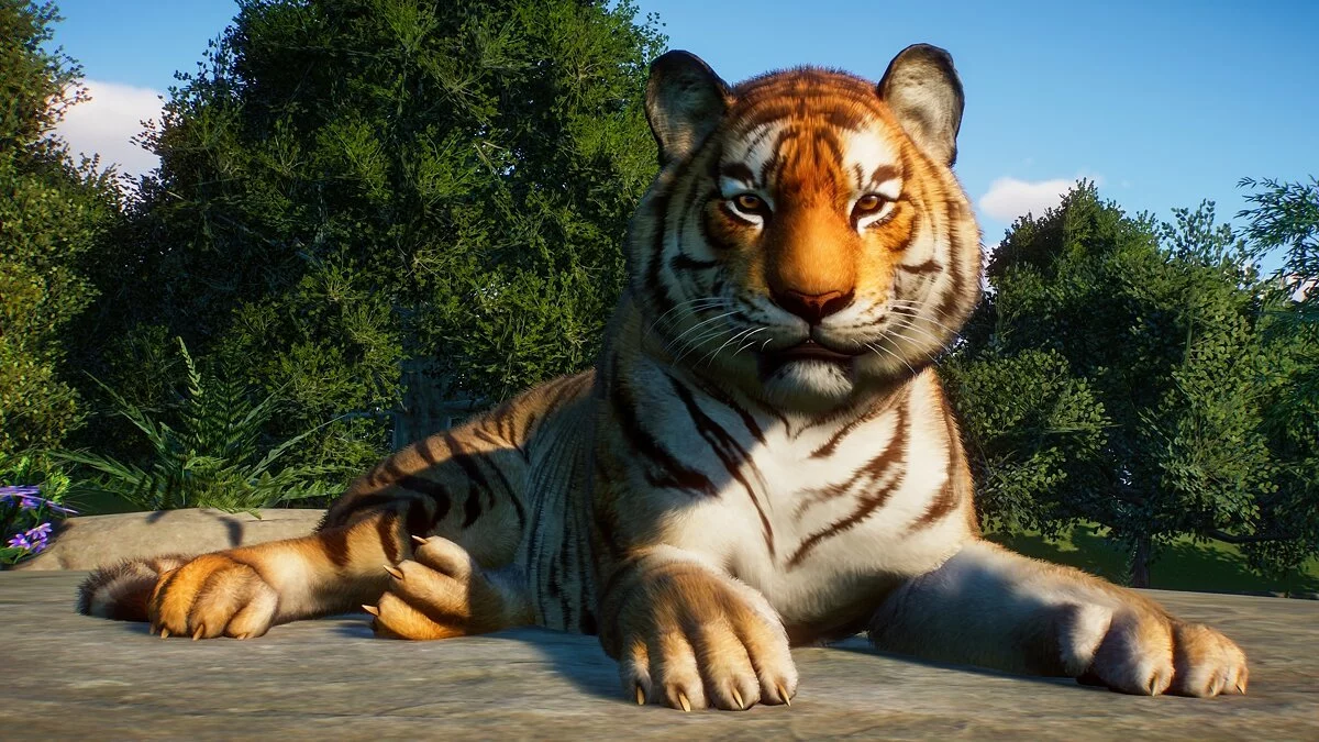 Скриншоты из Planet Zoo / Картинка 11