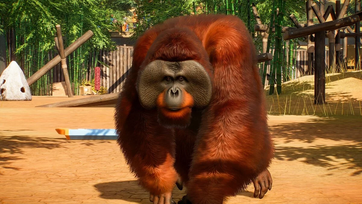 Скриншоты из Planet Zoo / Картинка 12