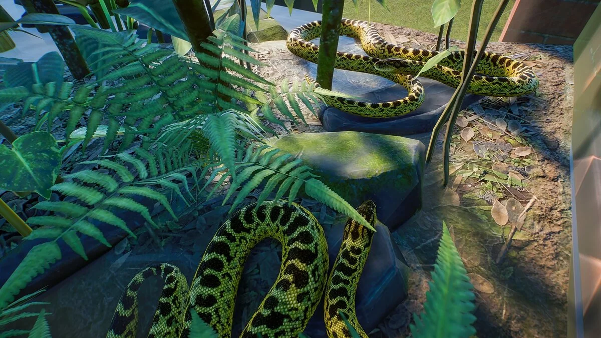 Скриншоты из Planet Zoo / Картинка 14