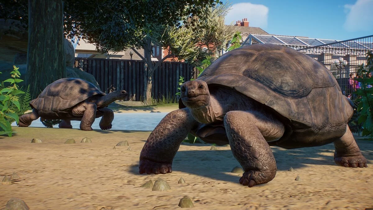 Скриншоты из Planet Zoo / Картинка 22